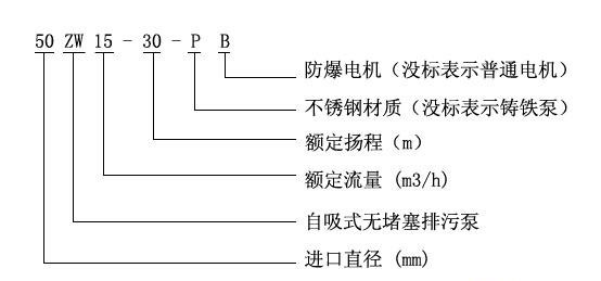 ZW型自吸式無堵塞好色先生APP下载安装型號意義
